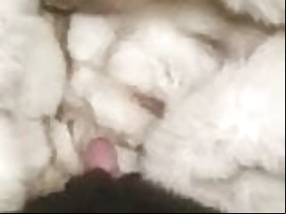 fur cumshot fox